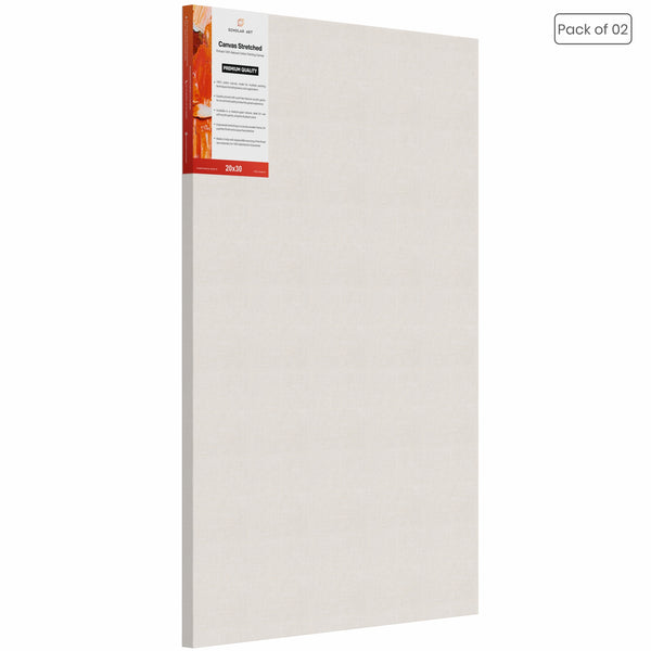 Stretched Canvas Panels for Painting 10 pack 8x10- Professional Grade  Surface for Artists